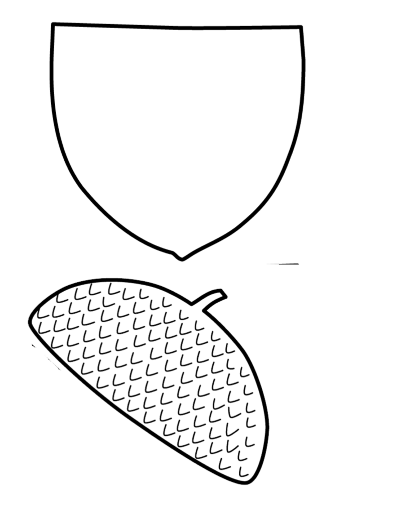 Acorn Top Template