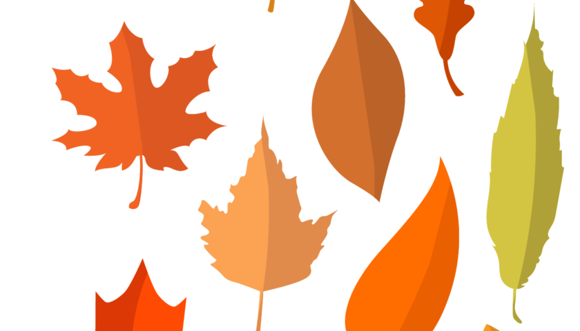 Fall Leaf Template