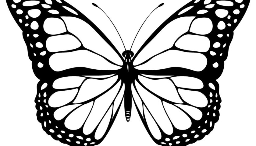 Free Printable Butterfly Coloring Pages For Kids