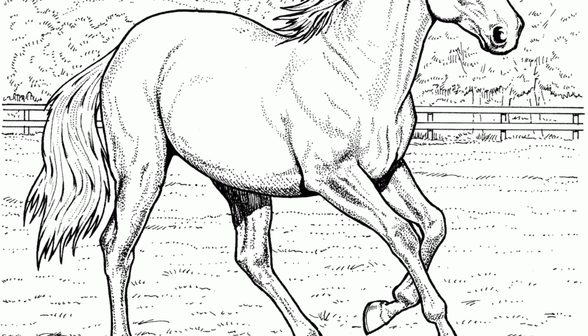 Free Printable Horse Coloring Pages For Kids