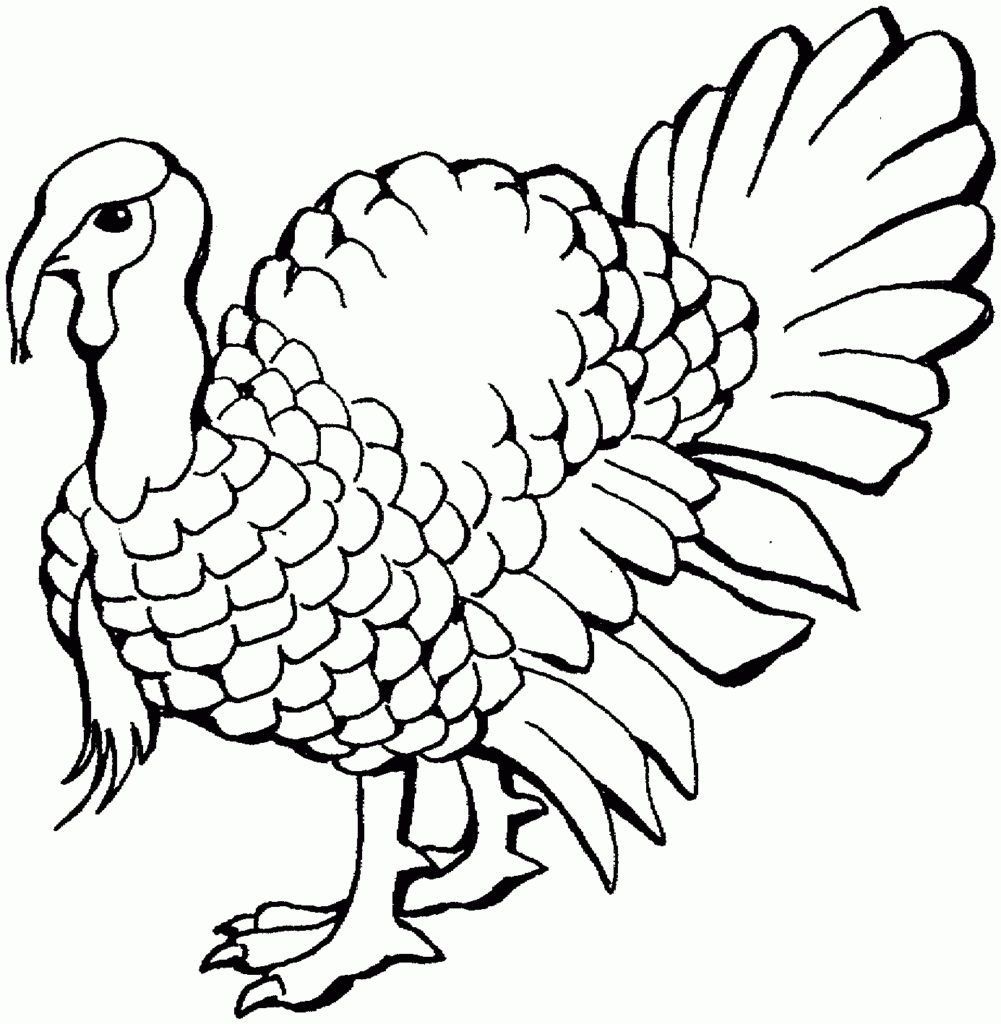 Free Printable Turkeys